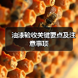 油漆验收关键要点及注意事项(图4) 油漆验收关键要点及注意事项(图4)