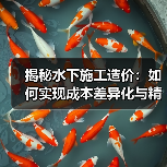 揭秘水下施工造价:如何实现成本差异化与精准预算(图2) 揭秘水下施工造价:如何实现成本差异化与精准预算(图2)