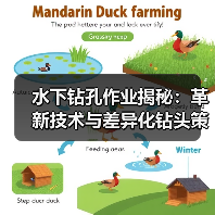 水下钻孔作业揭秘：革新技术与差异化钻头策略