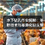 水下钻孔作业揭秘:革新技术与差异化钻头策略(图4) 水下钻孔作业揭秘:革新技术与差异化钻头策略(图4)