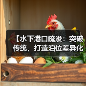 【水下港口疏浚:突破传统,打造泊位差异化的未来】(图3) 【水下港口疏浚:突破传统,打造泊位差异化的未来】(图3)