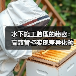 水下施工监理的秘密:高效管控实现差异化领先(图3) 水下施工监理的秘密:高效管控实现差异化领先(图3)