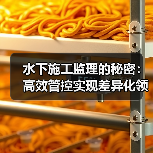 水下施工监理的秘密:高效管控实现差异化领先(图4) 水下施工监理的秘密:高效管控实现差异化领先(图4)