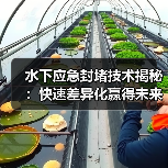 水下应急封堵技术揭秘:快速差异化赢得未来(图2) 水下应急封堵技术揭秘:快速差异化赢得未来(图2)