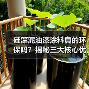 硅藻泥油漆涂料真的环保吗?揭秘三大核心优势(图2) 硅藻泥油漆涂料真的环保吗?揭秘三大核心优势(图2)