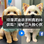 硅藻泥油漆涂料真的环保吗？揭秘三大核心优势