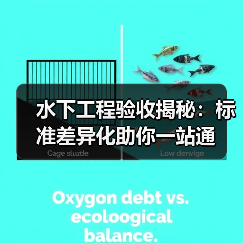 水下工程验收揭秘:标准差异化助你一站通 水下工程验收揭秘:标准差异化助你一站通