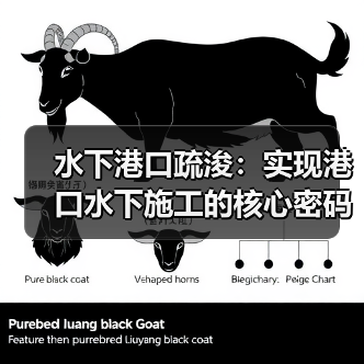 水下港口疏浚:实现港口水下施工的核心密码 水下港口疏浚:实现港口水下施工的核心密码