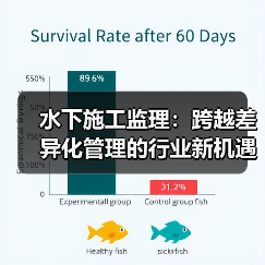 水下施工监理:跨越差异化管理的行业新机遇 水下施工监理:跨越差异化管理的行业新机遇