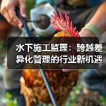 水下施工监理:跨越差异化管理的行业新机遇(图2) 水下施工监理:跨越差异化管理的行业新机遇(图2)