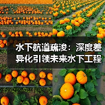 水下航道疏浚:深度差异化引领未来水下工程革命(图2) 水下航道疏浚:深度差异化引领未来水下工程革命(图2)