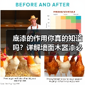 底漆的作用你真的知道吗？详解墙面木器漆必备技巧（图2）