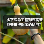 水下应急工程到底藏着哪些未被揭示的秘密?揭秘响应差异化中的关键诀窍(图2) 水下应急工程到底藏着哪些未被揭示的秘密?揭秘响应差异化中的关键诀窍(图2)