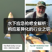 水下应急抢修全解析:响应差异化的行业之钥(图4) 水下应急抢修全解析:响应差异化的行业之钥(图4)