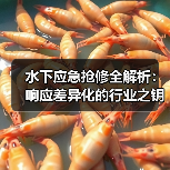 水下应急抢修全解析:响应差异化的行业之钥(图3) 水下应急抢修全解析:响应差异化的行业之钥(图3)