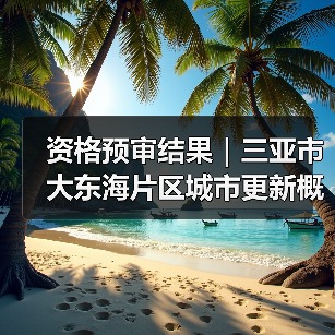 资格预审结果｜三亚市大东海片区城市更新概念规划设计国际竞赛（图3）