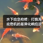 水下应急抢修:打赢海底危机的差异化响应战 水下应急抢修:打赢海底危机的差异化响应战