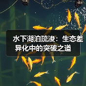 水下湖泊疏浚：生态差异化中的突破之道（图3）