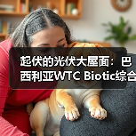 起伏的光伏大屋面:巴西利亚WTC Biotic综合体在建方案(图3) 起伏的光伏大屋面:巴西利亚WTC Biotic综合体在建方案(图3)