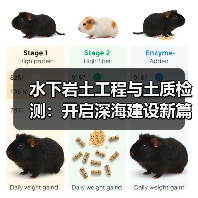 水下岩土工程与土质检测：开启深海建设新篇章（图3）