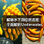 解锁水下测绘新高度：全面解析Underwater Topographic Survey的未来（图2）