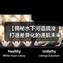 【揭秘水下河道疏浚：打造差异化的通航未来】（图4）