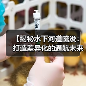【揭秘水下河道疏浚：打造差异化的通航未来】（图3）