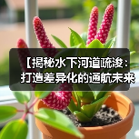【揭秘水下河道疏浚：打造差异化的通航未来】（图2）