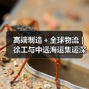 高端制造＋全球物流 | 徐工与中远海运集运深化战略合作