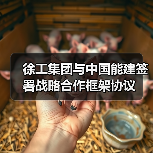 徐工集团与中国能建签署战略合作框架协议(图1) 徐工集团与中国能建签署战略合作框架协议(图1)