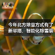 今年北方除雪方式有了新举措,智能化除雪装备成主力军 今年北方除雪方式有了新举措,智能化除雪装备成主力军