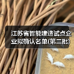 江苏省智能建造试点企业拟确认名单(第二批)(图2) 江苏省智能建造试点企业拟确认名单(第二批)(图2)