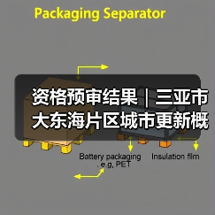 资格预审结果|三亚市大东海片区城市更新概念规划设计国际竞赛(图2) 资格预审结果|三亚市大东海片区城市更新概念规划设计国际竞赛(图2)