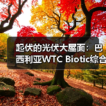 起伏的光伏大屋面:巴西利亚WTC Biotic综合体在建方案(图3) 起伏的光伏大屋面:巴西利亚WTC Biotic综合体在建方案(图3)