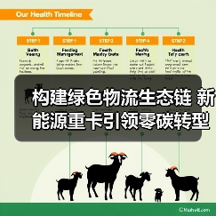 构建绿色物流生态链 新能源重卡引领零碳转型(图4) 构建绿色物流生态链 新能源重卡引领零碳转型(图4)