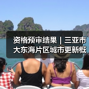 资格预审结果|三亚市大东海片区城市更新概念规划设计国际竞赛(图4) 资格预审结果|三亚市大东海片区城市更新概念规划设计国际竞赛(图4)