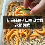 新疆绿色矿山建设管理政策解读(图2) 新疆绿色矿山建设管理政策解读(图2)