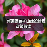 新疆绿色矿山建设管理政策解读(图4) 新疆绿色矿山建设管理政策解读(图4)
