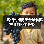 高端制造携手全球物流 产业链协同升级(图4) 高端制造携手全球物流 产业链协同升级(图4)