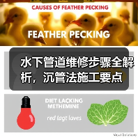 水下管道维修步骤全解析,沉管法施工要点 水下管道维修步骤全解析,沉管法施工要点