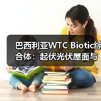 巴西利亚WTC Biotic综合体:起伏光伏屋面与模块化设计融合(图3) 巴西利亚WTC Biotic综合体:起伏光伏屋面与模块化设计融合(图3)