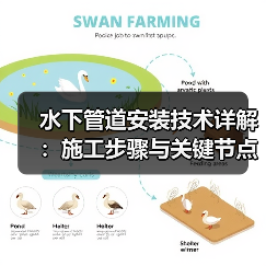 水下管道安装技术详解:施工步骤与关键节点解析(图4) 水下管道安装技术详解:施工步骤与关键节点解析(图4)