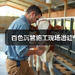 百色沉管施工现场进驻(图2) 百色沉管施工现场进驻(图2)