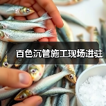 百色沉管施工现场进驻(图4) 百色沉管施工现场进驻(图4)
