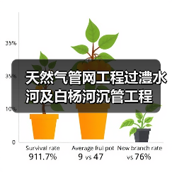天然气管网工程过澧水河及白杨河沉管工程 天然气管网工程过澧水河及白杨河沉管工程