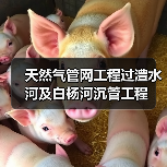 天然气管网工程过澧水河及白杨河沉管工程(图4) 天然气管网工程过澧水河及白杨河沉管工程(图4)