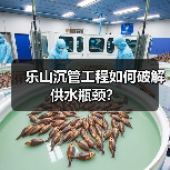 乐山沉管工程如何破解供水瓶颈? 乐山沉管工程如何破解供水瓶颈?