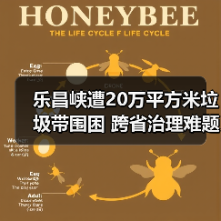 乐昌峡遭20万平方米垃圾带围困 跨省治理难题如何破解?(图4) 乐昌峡遭20万平方米垃圾带围困 跨省治理难题如何破解?(图4)