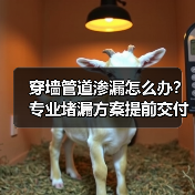 穿墙管道渗漏怎么办?专业堵漏方案提前交付 穿墙管道渗漏怎么办?专业堵漏方案提前交付
