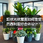 起伏光伏屋面如何重塑巴西利亚综合体设计?(图2) 起伏光伏屋面如何重塑巴西利亚综合体设计?(图2)